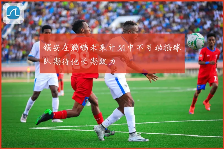锡安在鹈鹕未来计划中不可动摇球队期待他长期效力